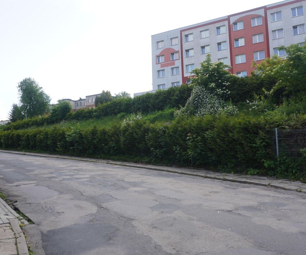 To najbrzydsza ulica w Olsztynie według AI. „Stanowi kontrast do nowoczesnej infrastruktury miasta”
