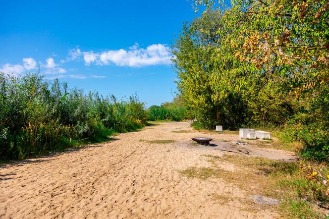 Plaża przy Moście Północnym – widok w głąb plaży