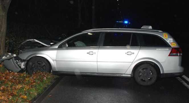 Gdańsk. Wypadek na Powstańców Warszawskich. Nietrzeźwą 19-latkę zatrzymała policja [ZDJĘCIA].