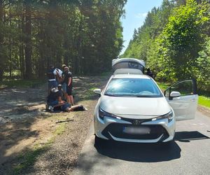 Pod osłoną nocy kradli gotówkę i biżuterię. Wpadli na leśnej drodze!
