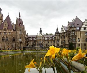To najpiękniejsze zamki w Polsce. Poczujesz się tam jak w bajce