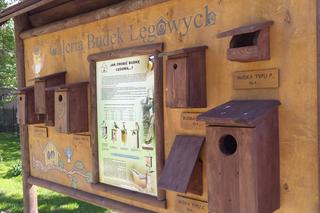 Galeria Budek Lęgowych w Powsinie