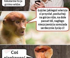 Memy na Dzień Szwagra 