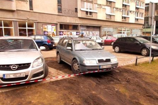 Warszawa: Straż miejska będzie publikować zdjęcia aut zaparkowanych na trawnikach [AUDIO]