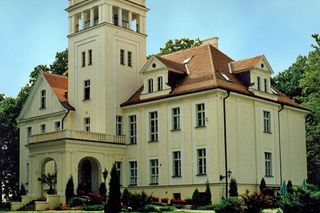 Pałac w Witosławiu