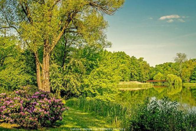 Zielony park Sołacki