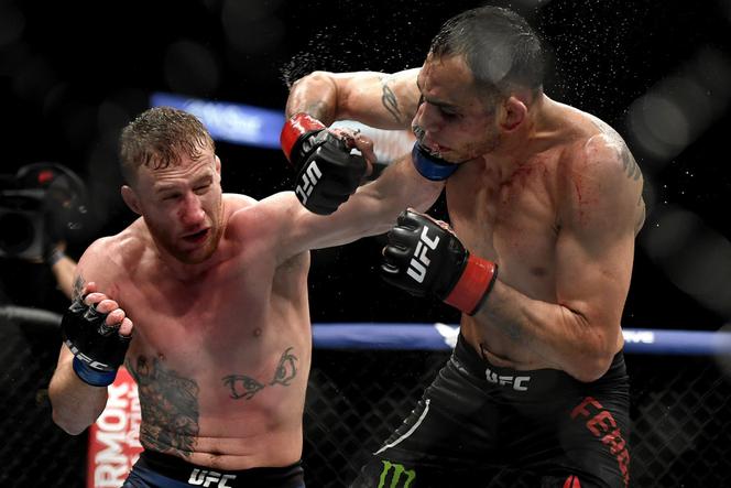 Justin Gaethje, Tony Ferguson, UFC 249