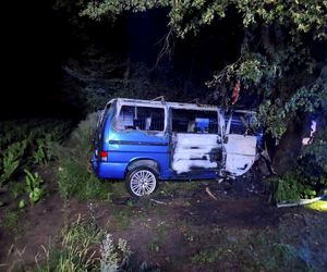 Śmiertelny wypadek pod Radomskiem. 42-latek nie żyje. Jego bus spłonął [ZDJĘCIA].