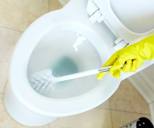 Zazwyczaj dodajesz ją do herbaty, tym razem wyczyść nią toaletę, a usuniesz żółte zacieki. Pogromca kamienia wybieli muszlę klozetową. Czyszczenie toalety
