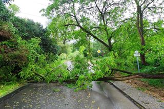 Strażacy walczą ze skutkami burz 