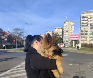 Owczarek uratowany przez szczecińskie policjantki. Szczeniak wrócił do domu 