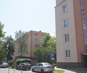 5. Ogrody 