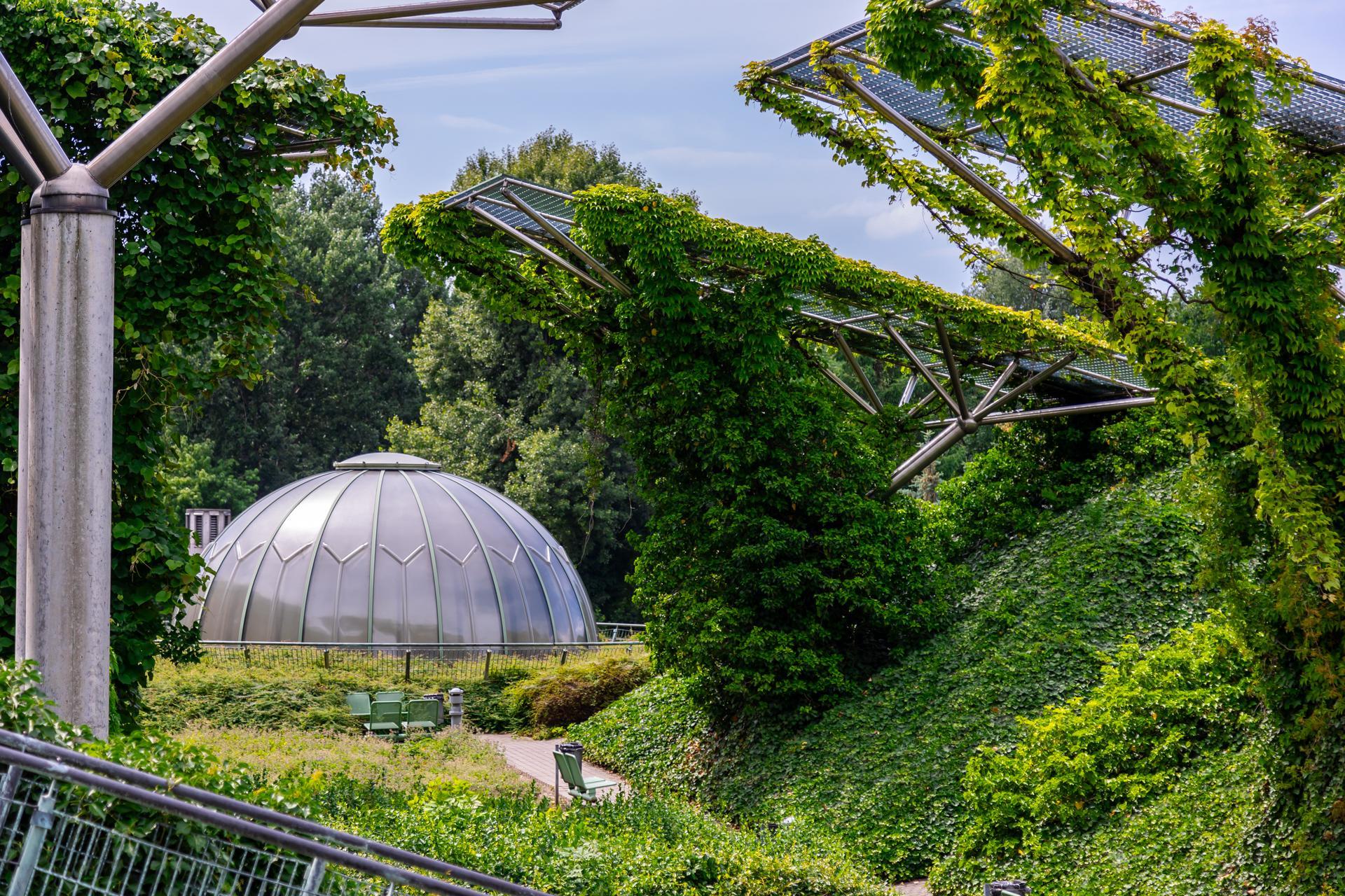 Ogród na dachu BUW w Warszawie