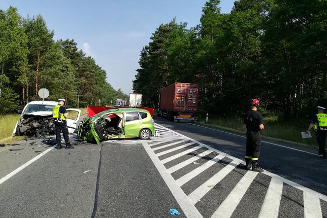 Policja apeluje o nagrania z tragicznego wypadku w Cierpicach pod Toruniem [ZDJĘCIA]