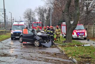 Pędzący renault 18-latek roztrzaskał się na drzewie! Horror w Koniecpolu