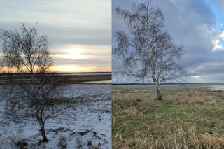 To samo miejsce miejsca przed i po cofce