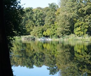 tłumy spokojnie spacerujących spacerowiczów w Pszczynie ZDJĘCIA