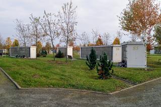 Cmentarz Zachodni w Szczecinie