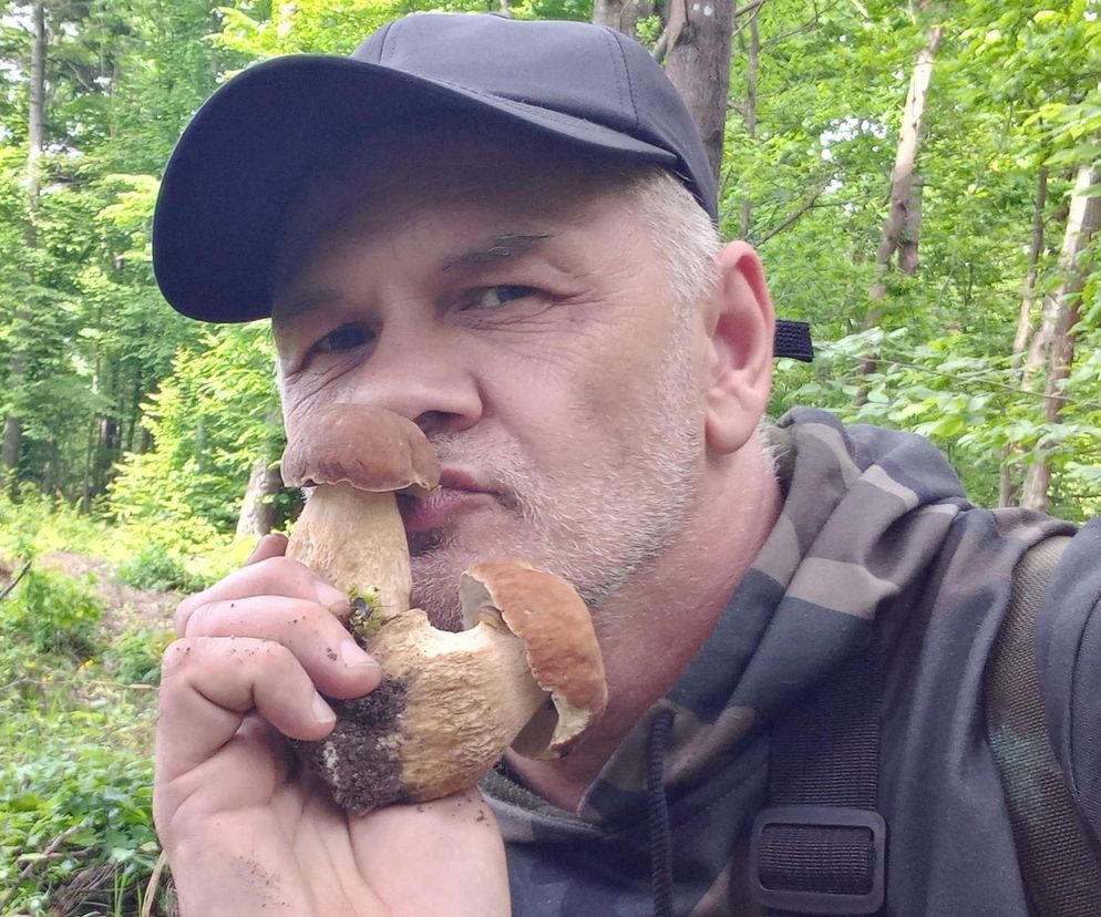 Grzyby w czerwcu. Lasy Starachowickie i okolice Rakowa zapraszają