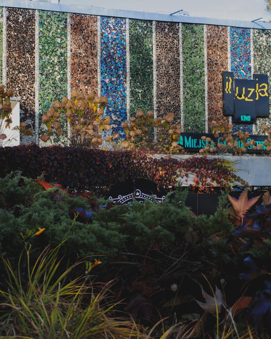 Miejska Galeria Sztuki w Częstochowie - zdjęcia. Budynek z PRL-u grał w serialu Rojst