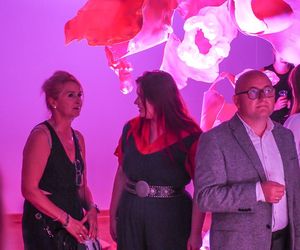 Wystawę przestrzennych prac Weroniki Anny Michalak „Odrealnienie” do 26 września można oglądać w Galerii PROwizorium w Łukowie