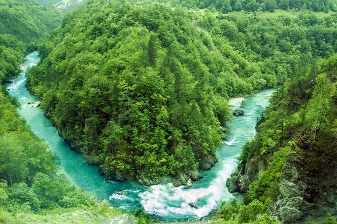 Czarnogóra, widok na rzekę Tara