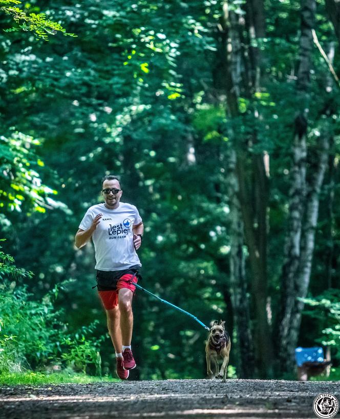 Parkrun Las Aniołowski w Częstochowie. Biegowa rekreacja na 5 kilometrach [ZDJĘCIA]