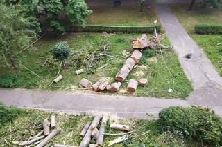 Wielkie drzewo runęło im na blok. „Widziałam, jak na mnie leci!”