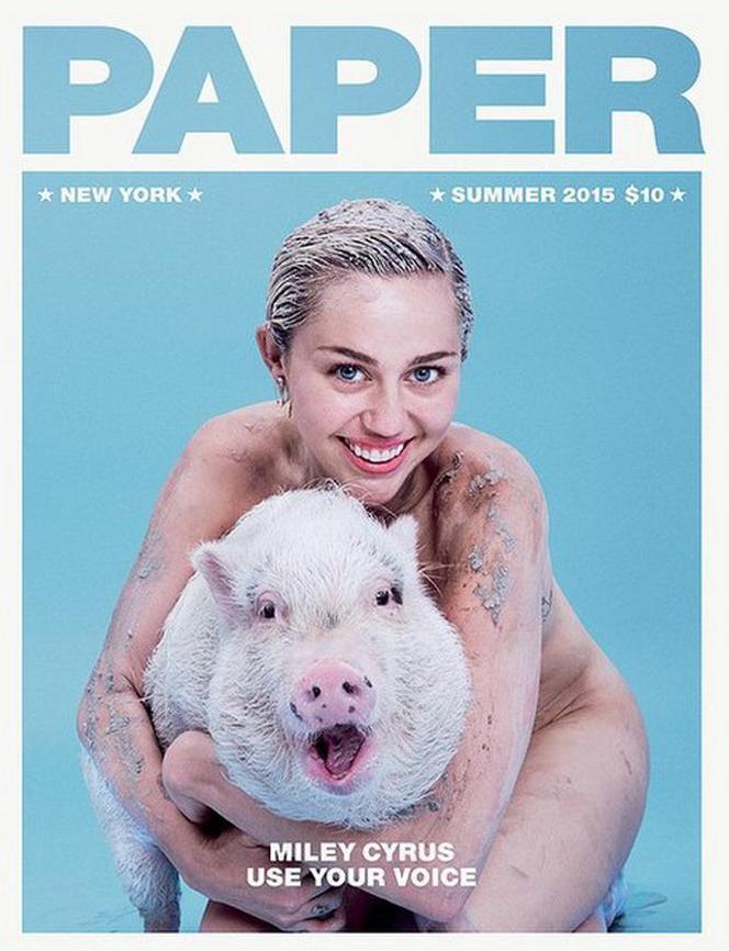 Miley Cyrus nago ze świnią na okładce Paper