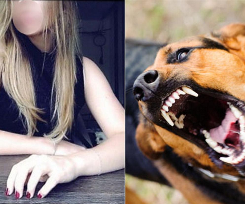 Sfora psów ciężko raniła 18-letnią Weronikę. Wcześniej doszło do innych krwiożerczych ataków [NOWE FAKTY]