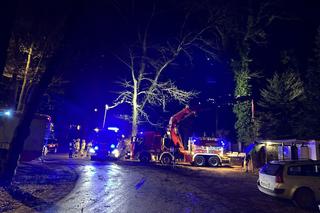Gigantyczne drzewo runęło do dom jednorodzinny. Dramatyczna akcja ratunkowa w Warszawie