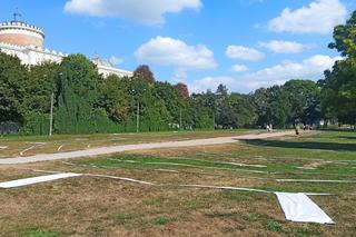 Open City / Otwarte Miasto 2023 w Lublinie. Festiwal pod hasłem „Shapes of beauty”