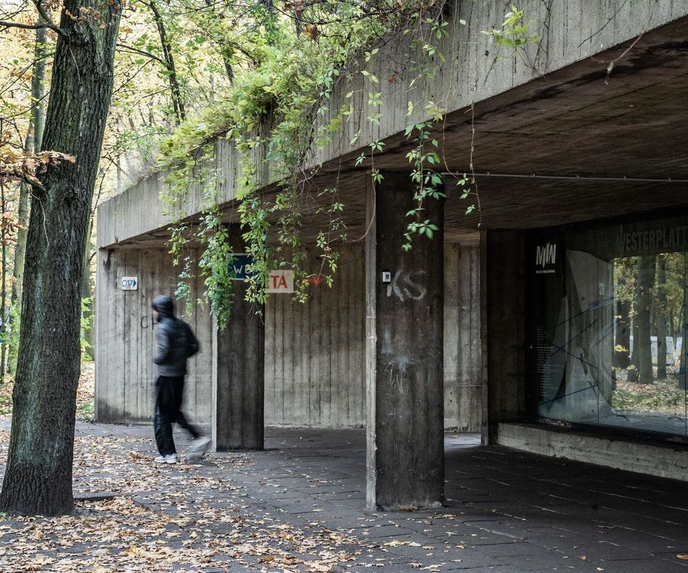 Brutalistyczna wiata na Westerplatte w Gdańsku, z szarego betonu z widocznym deskowaniem, pokryta zielonymi pnączami. Przed wiatą na brukowanym chodniku leżą jesienne liście, obok drzewo o grubej korze. W tle zamazana postać człowieka, a w oddali widać grupę ludzi. W głębi szyba z napisem WESTERPLATTE 1939. Dowiedz się więcej o brutalizmie na Architektura Murator Plus.