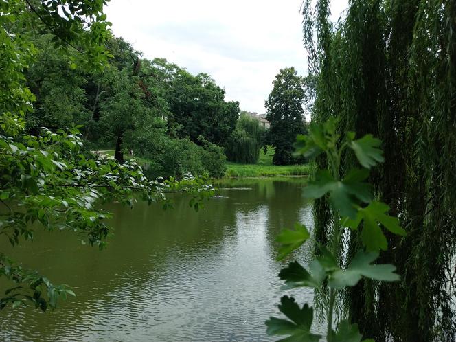 Lato w Parku miejskim w Zamościu 