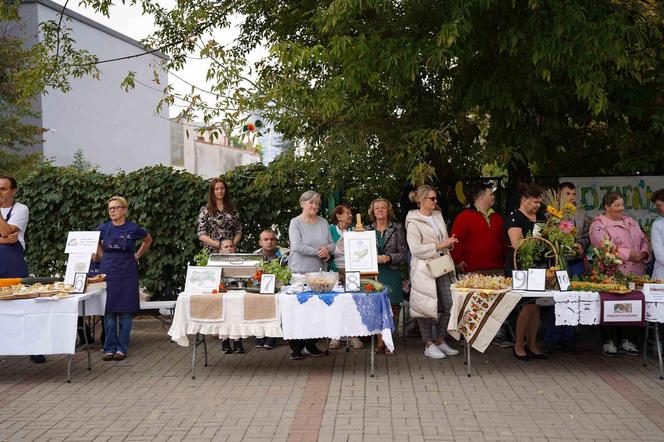 Dzień Cukinii. Integracyjne Święto Warzywa w Siedlcach