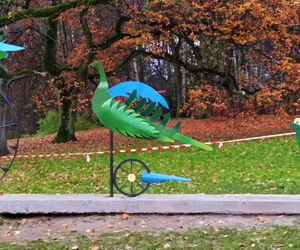 Ogniste Ptaki w Parku Kasprowicza w Szczecinie