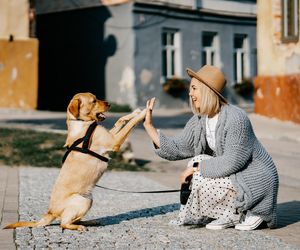 Za co kochamy psy? Dziś Międzynarodowy Dzień Psa 