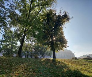 Zamojski Park jesienią