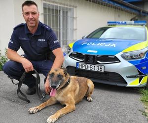 Szkolenie psów policyjnych nad Zalewem Zemborzyckim