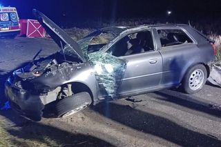 Śmiertelny wypadek pod Bełchatowem. 36-letek zderzył się z sarną [ZDJĘCIA].