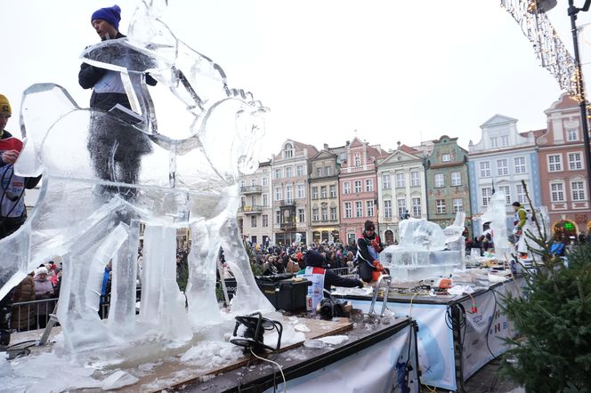 Poznań Ice Festival 2024 