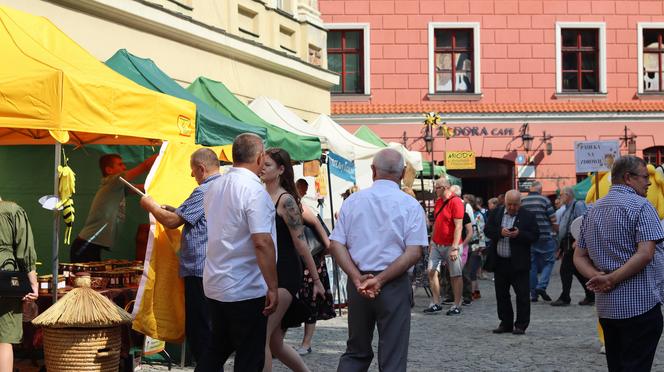 Miasto miodem płynące! Tak świętowali pszczelarze w Lublinie! Zobacz 