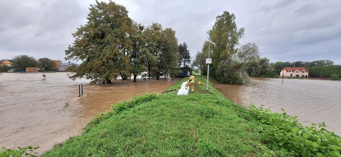 Chałupki 16.09