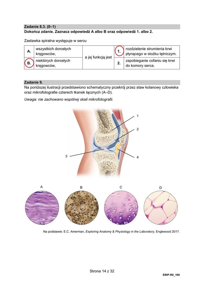 Matura 2025 biologia rozszerzona: ODPOWIEDZI do wszystkich zadań, gotowe rozwiązania matury z biologii rozszerzonej - Formuła 2015 [9.05.2025]	