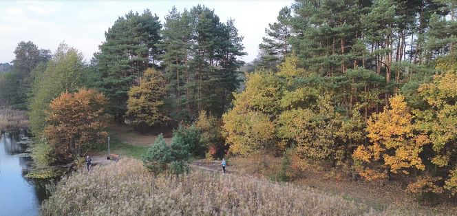 Idealne miejsce na jesienny spacer w Śląskiem - Kamień 