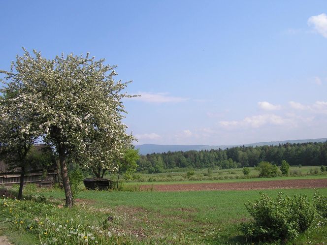 Klonów - urokliwa wieś w sercu Puszczy Świętokrzyskiej