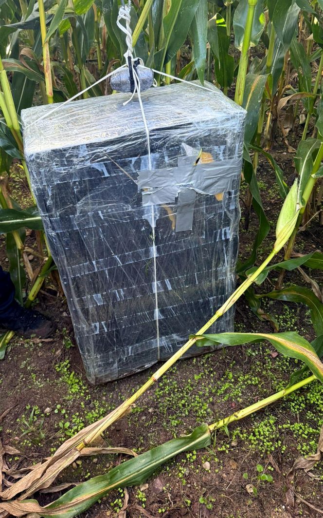 Tajemnicze balony spadły na Warmii i Mazurach. Nowa metoda przestępców