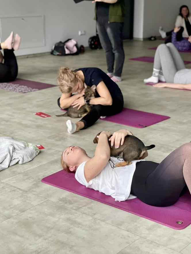 Puppy Yoga