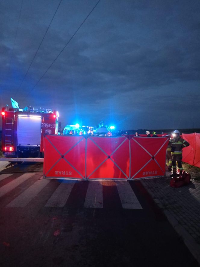 Tragiczny wypadek w pow. lubelskim