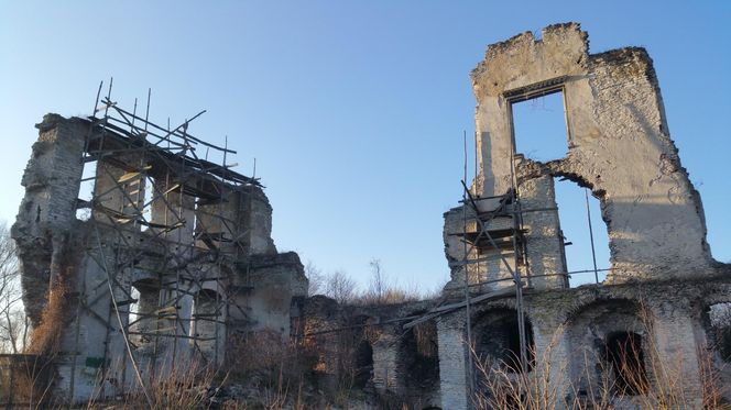 Ruiny zamku w Mokrsku Górnym